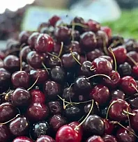 Türkiye'nin yaş meyve ihracatı, 7 aylık dönemde ilk kez 1 milyar dolar bandını aştı