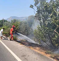 Ula'da yol kenarında başlayan alevler korkuttu