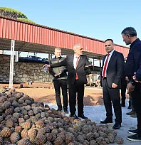 Vali Akbıyık, künar üreticilerinin taleplerini dinledi