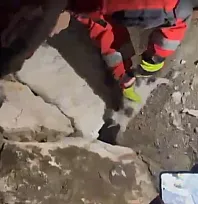 Yatağan'da duvara sıkışan kediyi itfaiye kurtardı