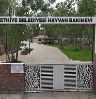 Yenilenen Fethiye Belediyesi Hayvan Bakımevi Açılıyor