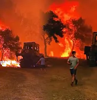 Yeşil vatan için alevlere siper oldu