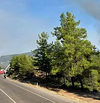 Yeşilüzümlü'de yangın kontrol altına alındı, soğutma çalışmaları başlatıldı