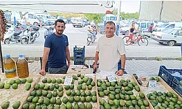 Fethiye'de avokado üreticisinden sezon uyarısı: 'Mevsimi gelmemiş ürünler piyasada'