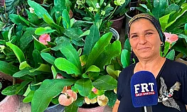 Fethiye'de yaz sıcaklarına karşı çiçek bakımının püf noktaları