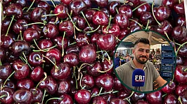 Fethiye'de Kiraz Fiyatları Geçen Yıla Göre Düştü: Kilosu 100 TL