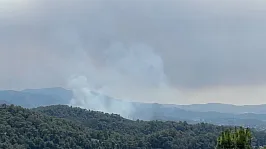 Seydikemer'in ardından bir yangın da Fethiye'de: Çiftlik Mahallesinden dumanlar yükseliyor