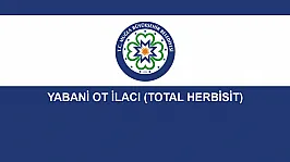 YABANİ OT İLACI (TOTAL HERBİSİT)