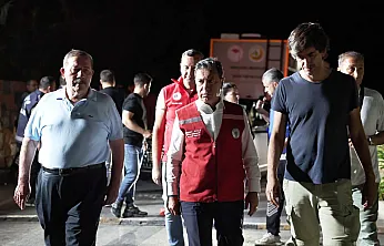 Ahmet Aras Milas'taki Orman Yangınını Yerinde İnceledi