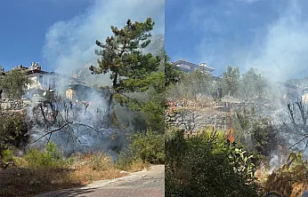 Akyaka'da ot yangını paniğe neden oldu