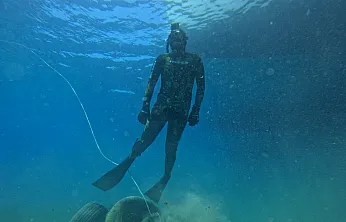 Bodrum açıklarında 40 metre derinliğe uzanan kesintisiz deniz çayırı kuşağı belirlendi