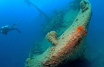 Bodrum açıklarındaki Yassıada'da su altı mirası kontrollü dalışlarla keşfediliyor