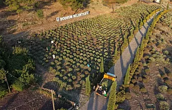Bodrum Belediyesi Tarım Kampı'nın İkinci Dönemi Tamamlandı