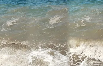 Bodrum'da deniz kirliliği: 'Başsavcılık soruşturma başlattı'