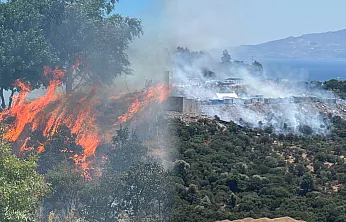 Bodrum'da konteynerde başlayıp makilik alana sıçrayan yangın söndürüldü