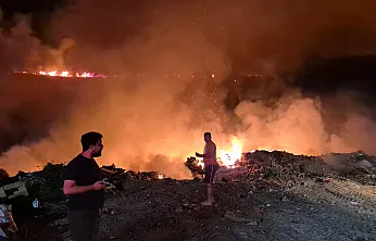 Bodrum'da makilik alanda çıkan yangın kontrol altına alındı