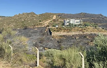 Bodrum'da makilik yangını kontrol altına alındı