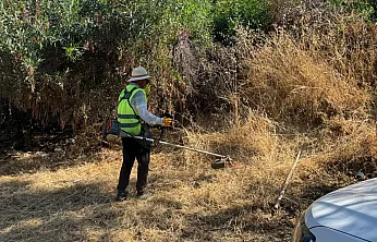 Bodrum'da ot temizliği çalışmaları Haziran ayı boyunca aralıksız sürdü