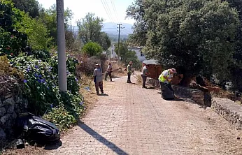 Bodrum'da ot temizliği çalışmaları sürüyor