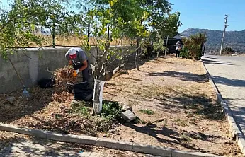 Bodrum'da ot temizliği çalışmaları sürüyor
