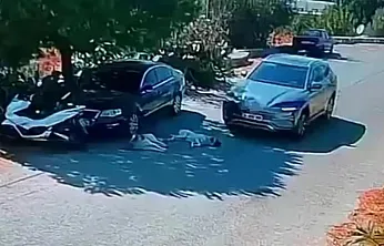 Bodrum'da Otomobil 2 Köpeğin Üzerinden Geçti: O Anlar Kamerada