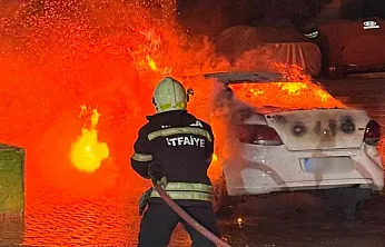 Bodrum'da otomobilde çıkan yangın söndürüldü