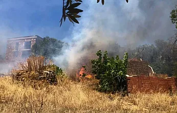 Bodrum'da rüzgarın büyüttüğü yangın 1 saatte söndürüldü