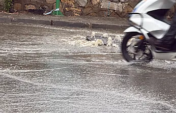 Bodrum'da sağanakla birlikte dereler taştı