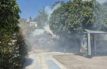 Bodrum'daki yangın büyümeden söndürüldü