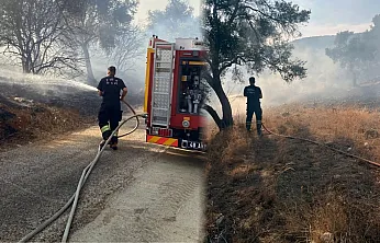 Bodrum-Milas karayolu üzerinde ot yangını