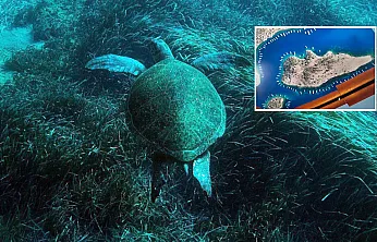 Bodrum'un su altı ekosistemini haritalama çalışmaları sürüyor