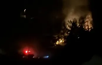 Dalaman'da Orman Yangını Büyümeden Söndürüldü