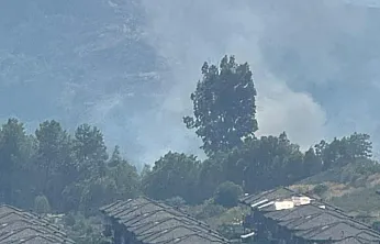 Dalaman'da orman yangını