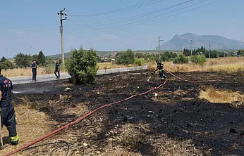 Datça'da kuru ot yangını büyümeden söndürüldü