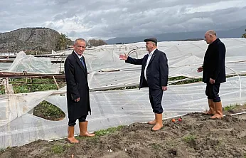 Dolu ve hortumun vurduğu Seydikemer'de oda başkanlarından destek çağrısı