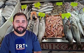 Fethiye Balık Hali'nde balık bolluğu: Palamutta stok zamanı