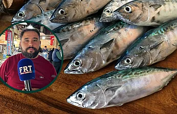 Fethiye Balık Hali'nde Palamut Bereketi: Balıkçıdan Sezon Uyarısı