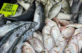 Fethiye Balık Pazarı'nda haftanın indirim şampiyonu palamut