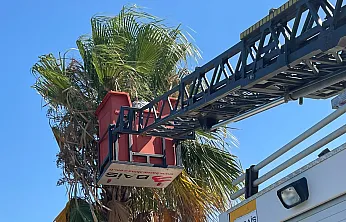 Fethiye Belediyesi'nden Sahil Bandı'na yaz dokunuşu
