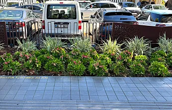 Fethiye Belediyesi önünde peyzaja farklı bir dokunuş
