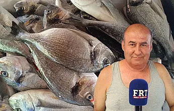 Fethiye Çalıca Balık Pazarı'ndan Vatandaşa Uygun Fiyatlı Balık