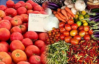 Fethiye Cuma Pazarı Güncel Sebze Fiyatları
