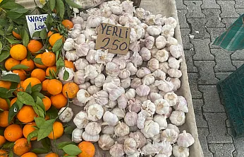 Fethiye Cuma Pazarı'nda 'Sarımsak' altınla yarışıyor: Kilosu 250 Lira