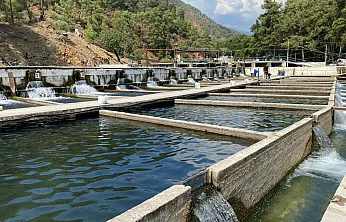 Fethiye'de 11 dönümlük tesis Avrupa'ya balık ihraç ediyor