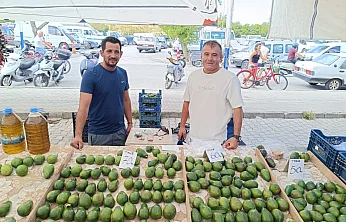 Fethiye'de avokado üreticisinden sezon uyarısı: 'Mevsimi gelmemiş ürünler piyasada'