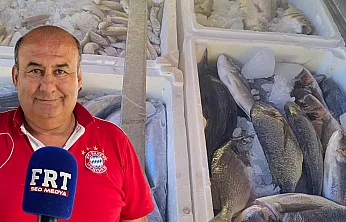 Fethiye'de balık sezonu hareketlendi: Çalıca'da tezgahlar palamut ve çupra ile doldu