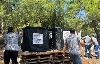 Fethiye'de Doğal Yaşama Destek: Arı İçme Suyu Noktaları Yenilendi