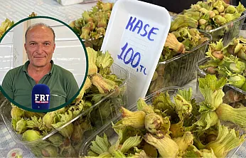 Fethiye'de Fındık da Yetişiyor! Karadeniz'i Aratmayan Yerli Lezzet Pazarda