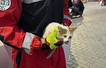 Fethiye'de kaputa giren kedi için seferber oldular