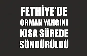 Fethiye'de orman yangını kısa sürede söndürüldü